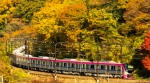 ニュース画像：高尾線と紅葉 - 「京王電鉄、11月に臨時座席指定列車「Mt.TAKAO号」を運転へ」