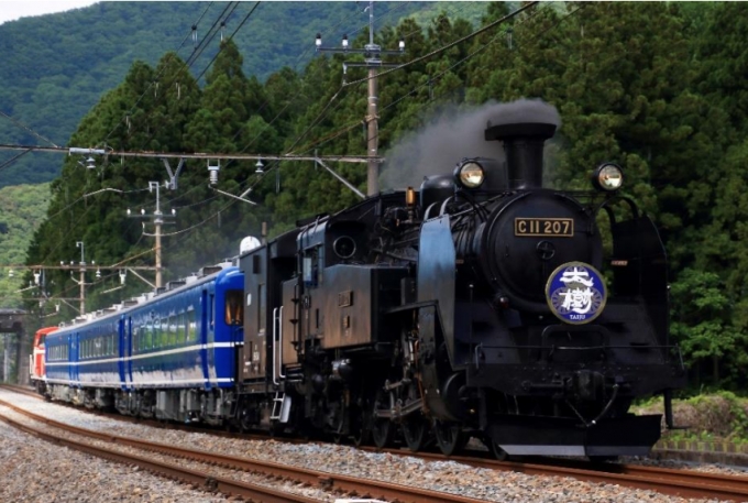 画像：SL大樹 - 「東武鉄道、2019年は「SL大樹」を年間130日間運転」