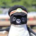 江ノ島線市民とペンギン社長さん プロフィール写真