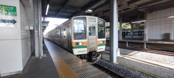 佐野駅から佐野駅の乗車記録(乗りつぶし)写真