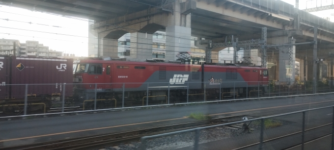 鉄道乗車記録の写真:列車・車両の様子(未乗車)(23)        「EH500-61(金太郎)
？行貨物列車
撮影時間(午後17時24分)」