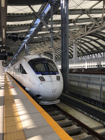 長崎駅から博多駅の乗車記録(乗りつぶし)写真