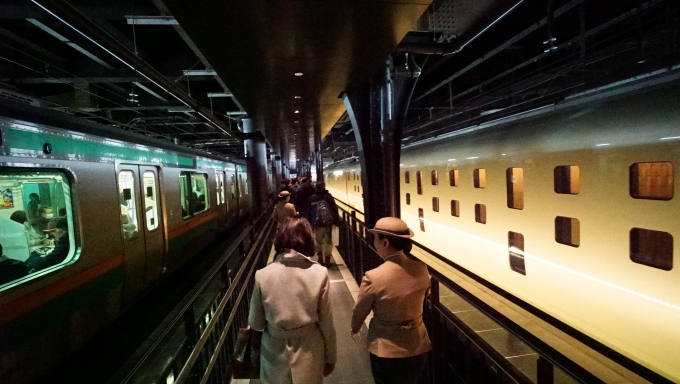 鉄道乗車記録の写真:列車・車両の様子(未乗車)(7)        「下車風景」