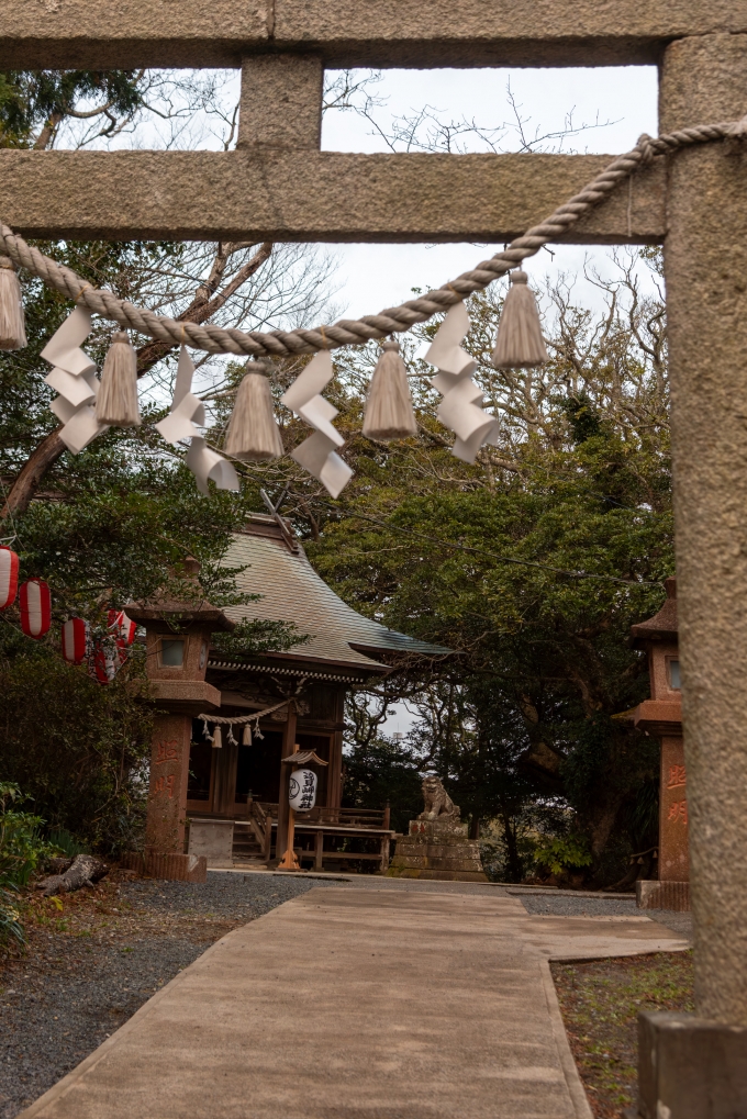 鉄道乗車記録の写真:旅の思い出(4)        「遠見岬神社の本殿。鳥居の位置から本殿を見ると、狛犬にめちゃ睨みをきかされてる。」