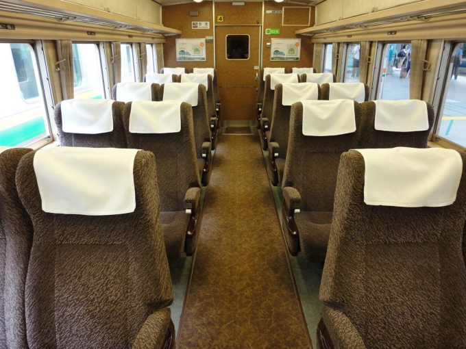 鉄道乗車記録の写真:車内設備、様子(3)        「185系グリーン車」