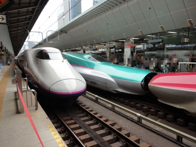 鉄道乗車記録の写真:乗車した列車(外観)(1)        「乗った上越新幹線と、こまちのツーショット」