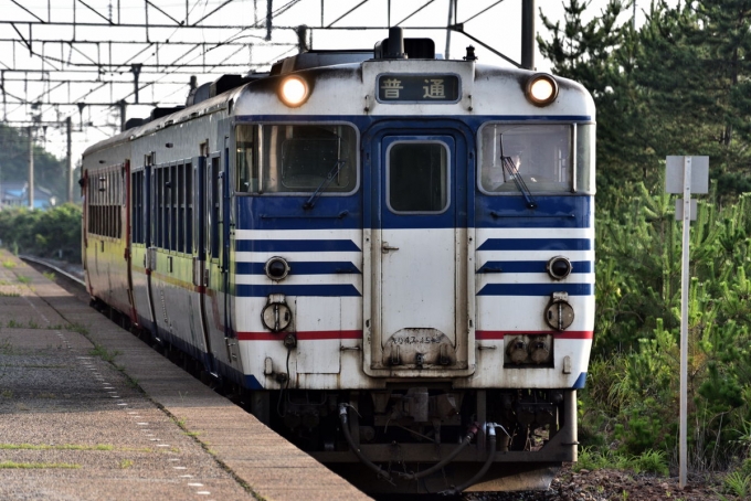 鉄道乗車記録の写真:乗車した列車(外観)(1)     「乗車した831D」