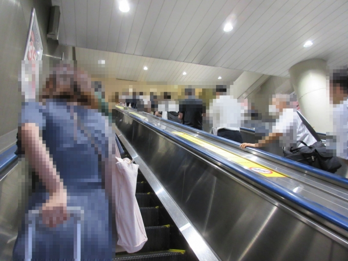 鉄道乗車記録の写真:駅舎・駅施設、様子(1)     「再度急なエスカレーターに乗って乗り、山手線へ継ぎ」