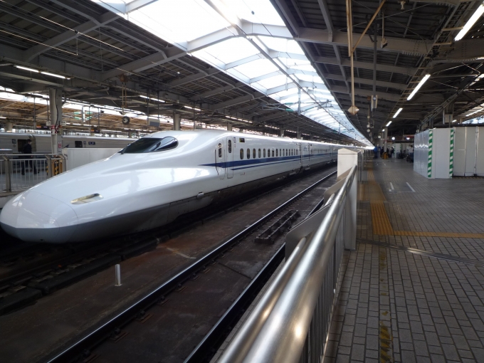 鉄道乗車記録の写真:列車・車両の様子(未乗車)(10)        「新幹線は長すぎた。」