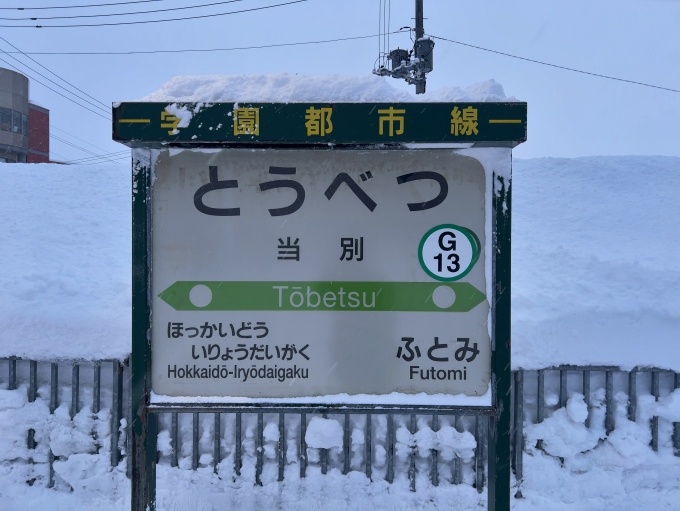 鉄道乗車記録の写真:駅名看板(1)        「JR札沼線　当別駅　駅名標」