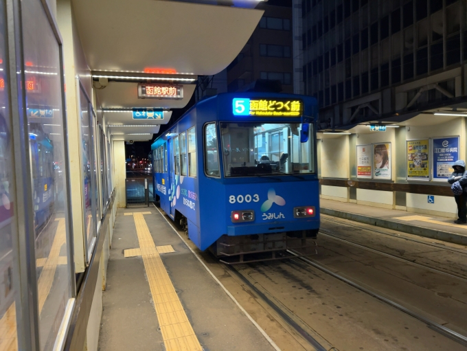 鉄道乗車記録の写真:乗車した列車(外観)(1)        「函館市電5系統函館どつく前行き8003」
