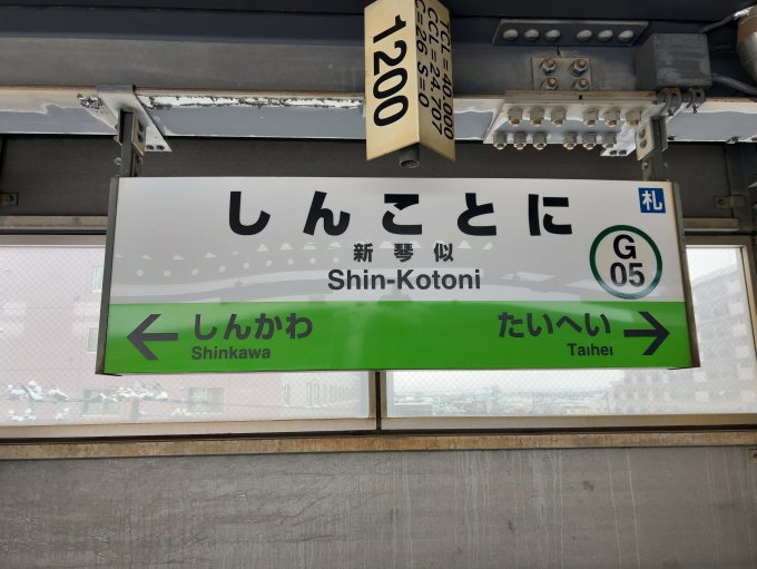 鉄道乗車記録の写真:駅名看板(3)        「JR札沼線　新琴似駅　駅名標」