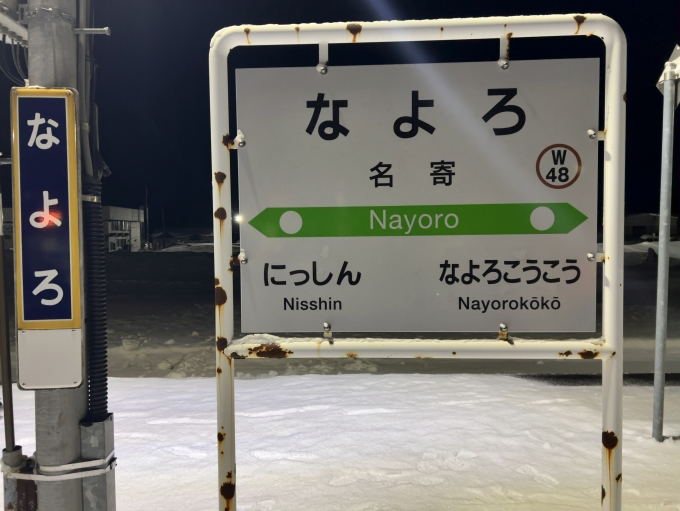 鉄道乗車記録の写真:駅名看板(2)        「JR宗谷本線　名寄駅　駅名標」