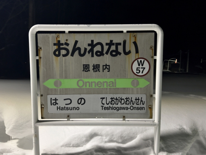 鉄道乗車記録の写真:駅名看板(2)        「JR宗谷本線　恩根内駅　駅名標」