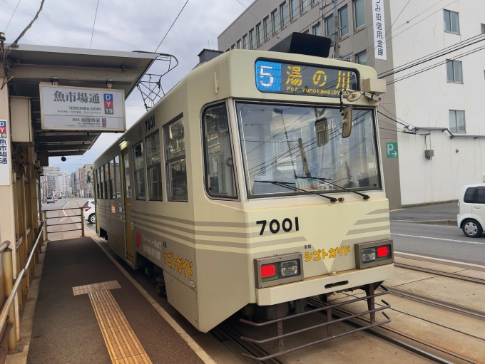 鉄道乗車記録の写真:乗車した列車(外観)(2)        「函館市電5系統　魚市場通停留所
湯の川行き7001」