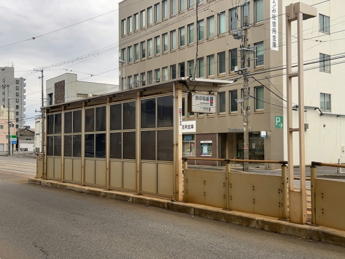 鉄道乗車記録の写真:駅舎・駅施設、様子(4)     「函館市電5系統　魚市場通停留所」