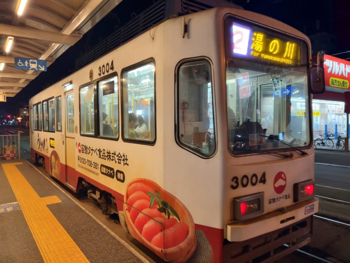 鉄道乗車記録の写真:乗車した列車(外観)(2)        「函館市電2系統　松風町停留所
湯の川行き, 3004」