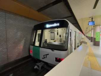 麻生駅から大通駅の乗車記録(乗りつぶし)写真
