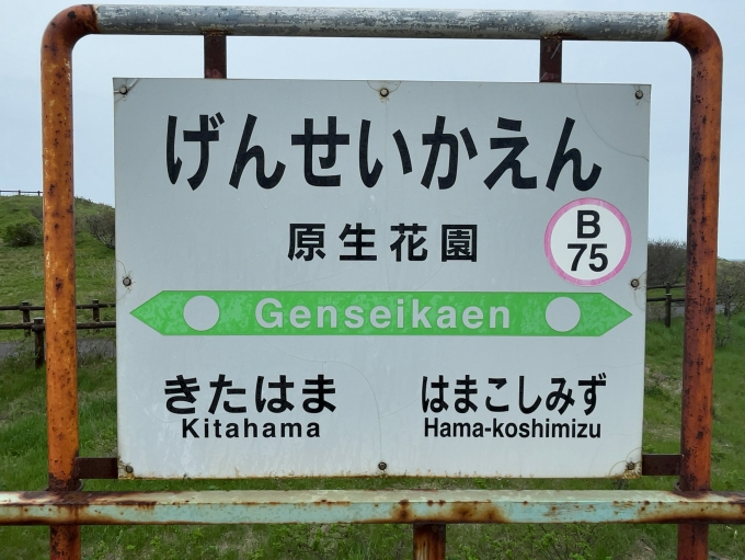 鉄道乗車記録の写真:駅名看板(2)        「JR釧網本線　原生花園駅　駅名標」