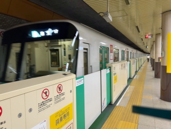大通駅から麻生駅の乗車記録(乗りつぶし)写真