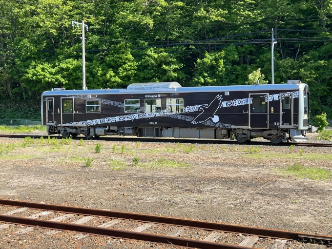 鉄道乗車記録の写真:列車・車両の様子(未乗車)(3)     「JR釧網本線　網走駅
H100-87（宗谷線ラッピング）」