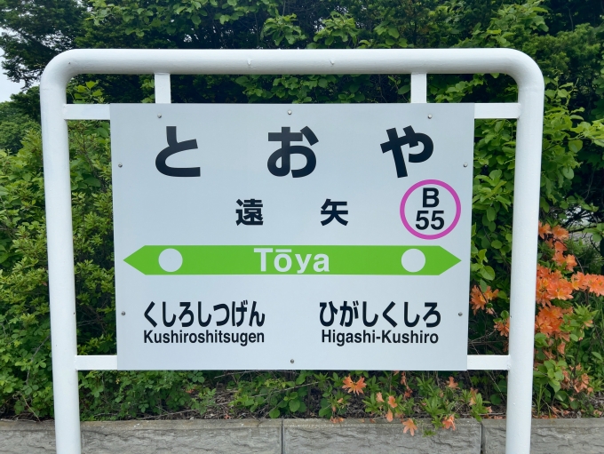 鉄道乗車記録の写真:駅名看板(2)     「JR釧網本線　遠矢駅　駅名標」