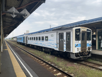 ノサップ 鉄道列車徹底ガイド | レイルラボ(RailLab)