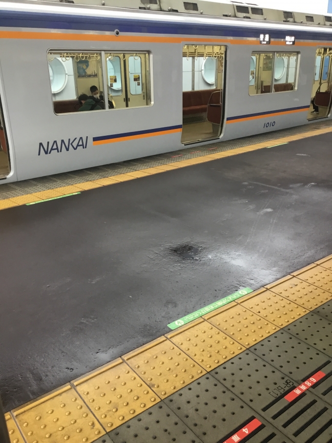 鉄道乗車記録の写真:車窓・風景(2)        「普通和歌山市行きと待ち合わせ」