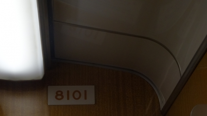 鉄道乗車記録の写真:車両銘板(2)        「車内で撮影　8101」