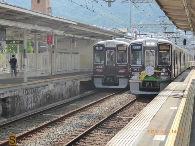 鉄道乗車記録の写真:乗車した列車(外観)(1)          「SDGsトレイン
急行宝塚行きは1004F」