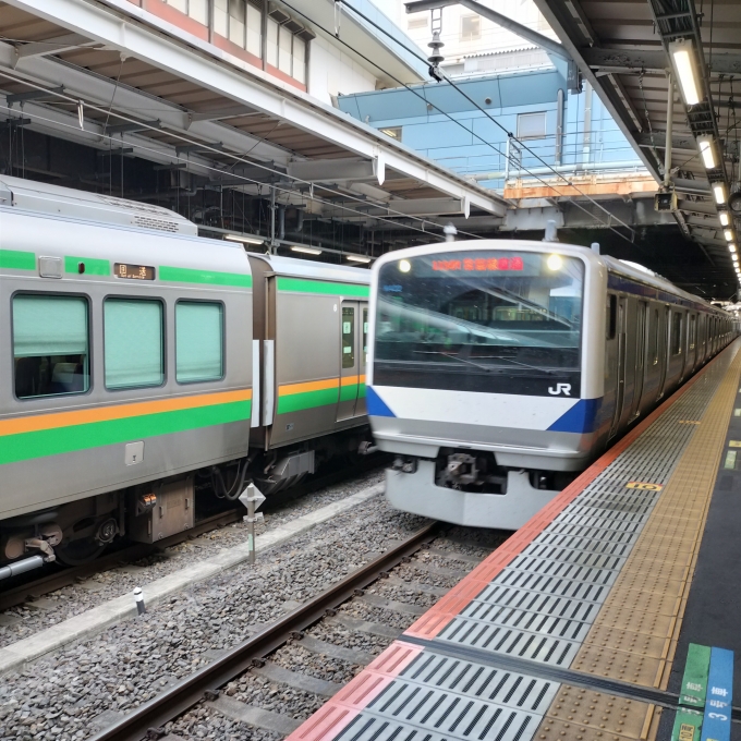 鉄道乗車記録の写真:乗車した列車(外観)(7)        「常磐線快速」