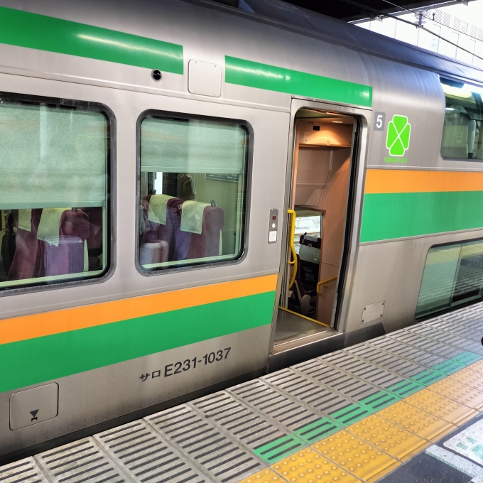 鉄道乗車記録の写真:乗車した列車(外観)(2)        「高崎〜横浜
グリーン車」