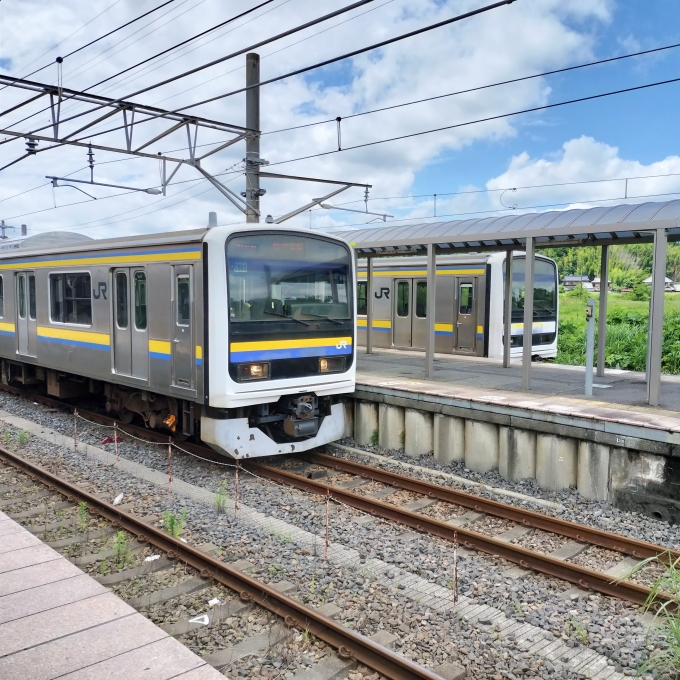 鉄道乗車記録の写真:乗車した列車(外観)(9)        「総武線」