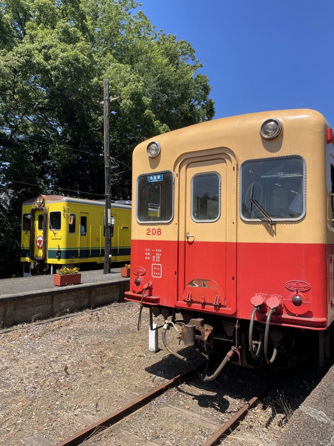 鉄道乗車記録の写真:乗車した列車(外観)(4)        「小湊鐵道といすみ鉄道」