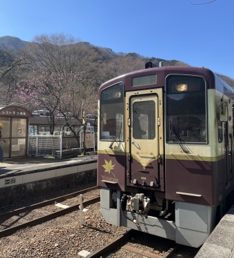 相老駅から間藤駅の乗車記録(乗りつぶし)写真