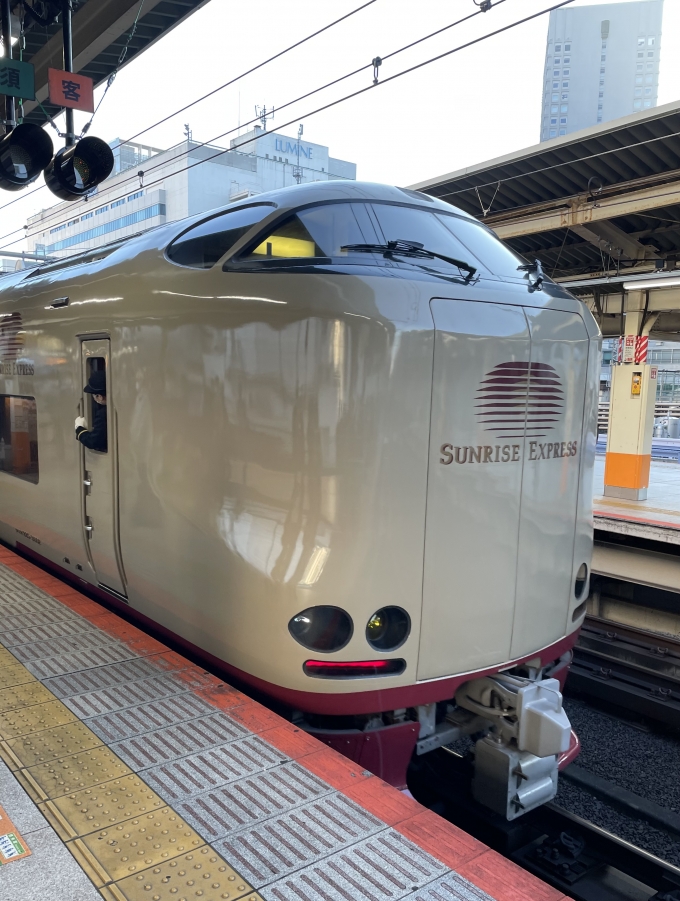 鉄道乗車記録の写真:乗車した列車(外観)(2)     「約30年振りに乗車した夜行列車 1枚目

サンライズ出雲(乗車区間:大阪→横浜)」