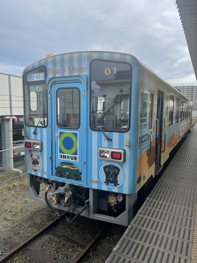 鉄道乗車記録の写真:乗車した列車(外観)(1)     「勝田発阿字ヶ浦行」