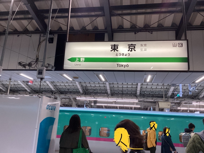 鉄道乗車記録の写真:駅名看板(1)          「なかなか来られないので思わず撮ってしまいました。2023年11月12日9時06分、東京駅22・23番線ホームで撮影。」
