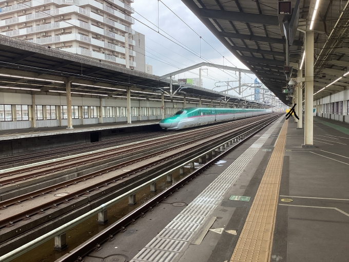 鉄道乗車記録の写真:列車・車両の様子(未乗車)(1)          「乗った日ではないですが、ここから新幹線に乗りました。宇都宮駅4番線、2023年9月27日13時05分撮影。」