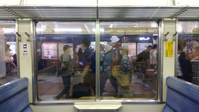 鉄道乗車記録の写真:乗車した列車(外観)(1)          「今乗っているのは西武秩父から乗ってきたやつ
向かい側にいるL-Trainはこれから乗るやつ」