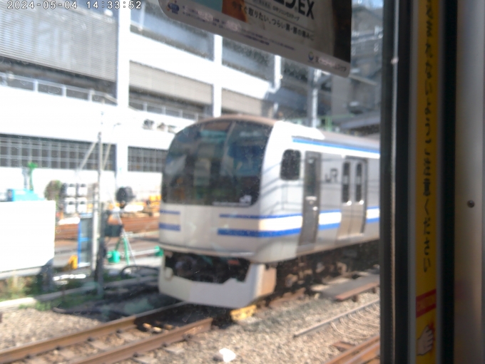 鉄道乗車記録の写真:列車・車両の様子(未乗車)(2)        「E217系の生き残り」