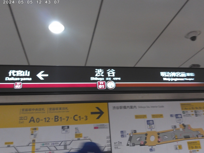 鉄道乗車記録の写真:駅名看板(12)     「渋谷」