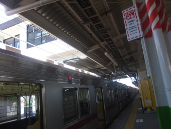 森林公園駅から小川町駅の乗車記録(乗りつぶし)写真