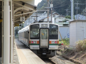 浜松駅から興津駅の乗車記録(乗りつぶし)写真