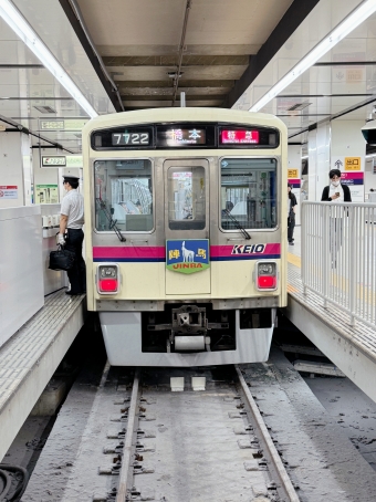 千歳烏山駅から新宿駅の乗車記録(乗りつぶし)写真