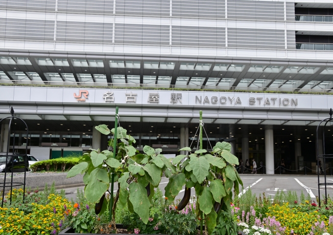 鉄道乗車記録の写真:駅舎・駅施設、様子(3)     「名古屋駅前観賞野菜」