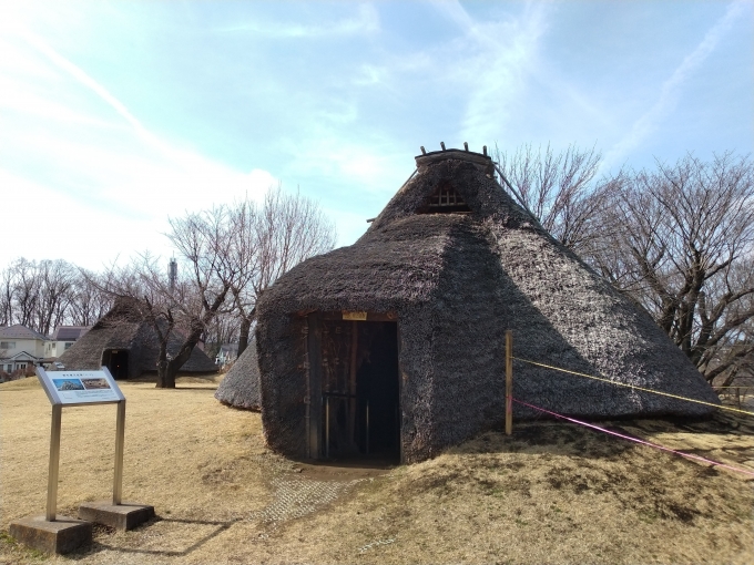 鉄道乗車記録の写真:旅の思い出(4)        「本町田遺跡の復元された縄文時代の住居」