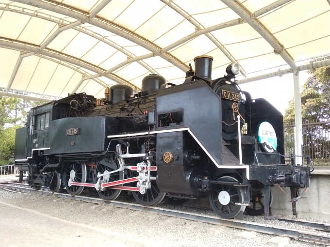 鉄道乗車記録の写真:列車・車両の様子(未乗車)(2)        「C11-245
鵠沼運動公園に静態保存されている。」