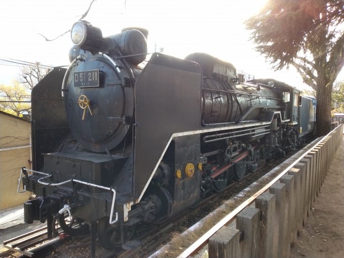 鉄道乗車記録の写真:列車・車両の様子(未乗車)(2)        「D51-211
王子動物園の園内に静態保存されている。」