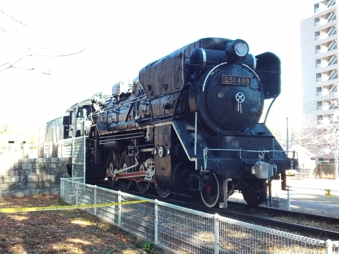 鉄道乗車記録の写真:列車・車両の様子(未乗車)(2)        「D51-499
津偕楽園に静態保存されている。」